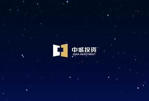 中城品牌官网设计